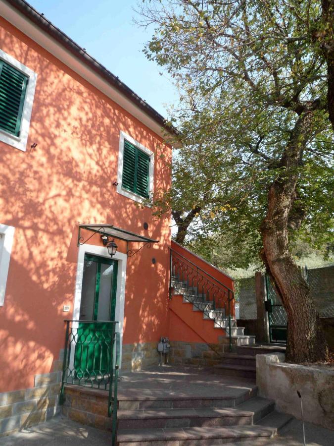 Ai 2 Olmi - Monolocali Nel Verde Muggia Ngoại thất bức ảnh